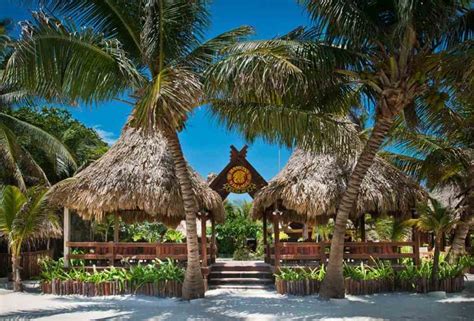 San pedro belize places to stay. Things To Know About San pedro belize places to stay. 